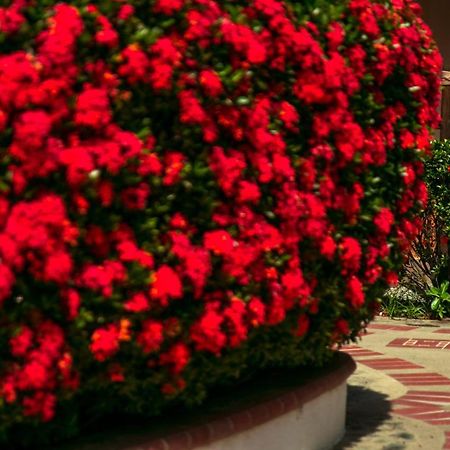Hosteria Tonusco Campestre Santa Fe de Antioquia Exterior photo