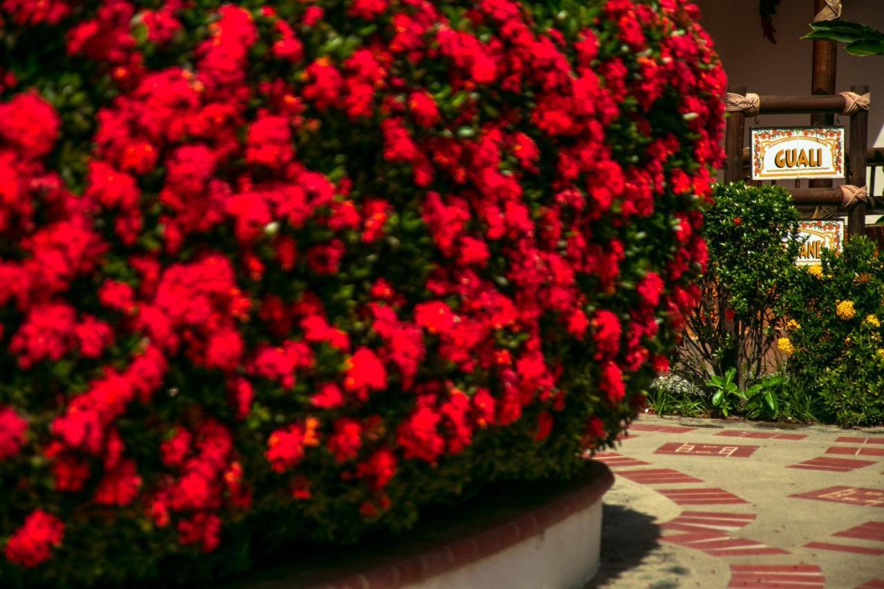 Hosteria Tonusco Campestre Santa Fe de Antioquia Exterior photo